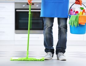 كيفية تنظيف المنزل من الحشرات
